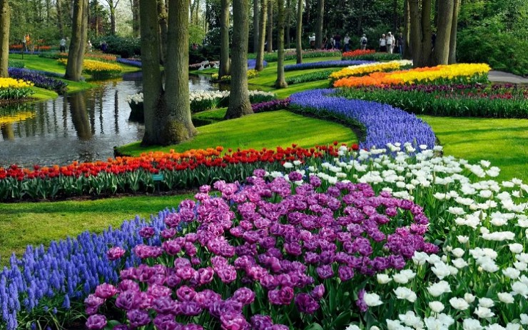 Красочные ландшафты королевского парка цветов «Кёкенхоф»