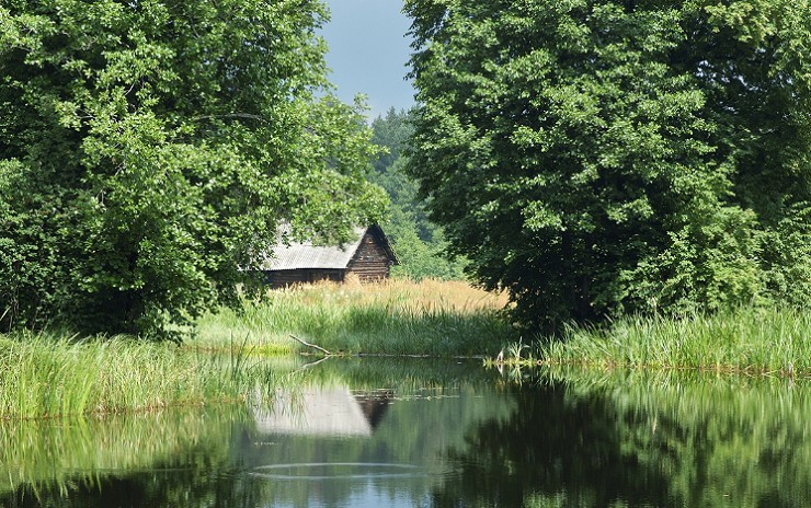 Экологический туризм — популярный вид отдыха в Беларуси