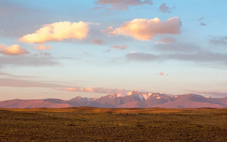 Чуйская степь — удивительное место на границе Алтайского края и Монголии