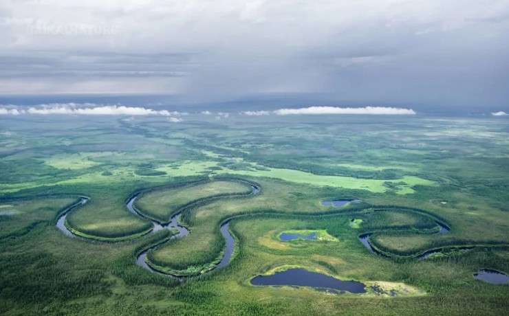  Голубые ленты рек разрезают бесконечные просторы тайги