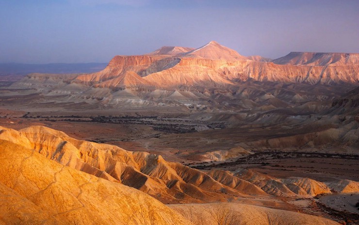 Половина территории Израиля занята пустыней Негев