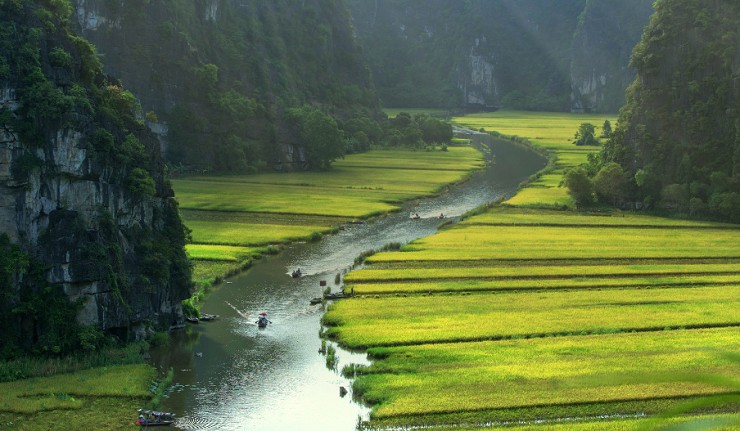Река, текущая посреди рисового поля близ Нин Бина
