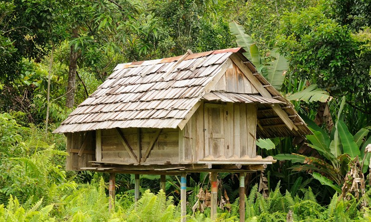Дома даяков на острове Калимантан