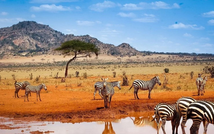 Кения — одна из лучших стран для знакомства с дикой природой
