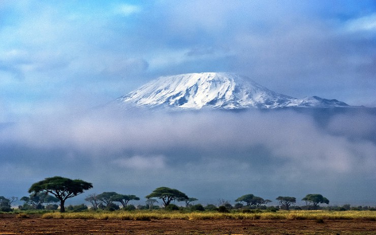 Вершина Килиманджаро — единственное место в Африке, где лежит снег