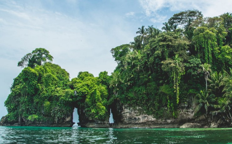 Островки архипелага Бокас-дель-Торо покрыты густыми джунглями