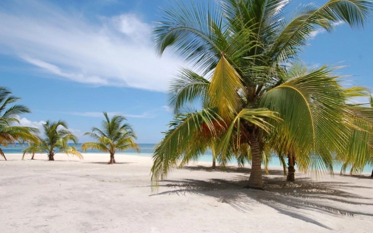 Берег острова Саона — образец типичного доминиканского пляжа