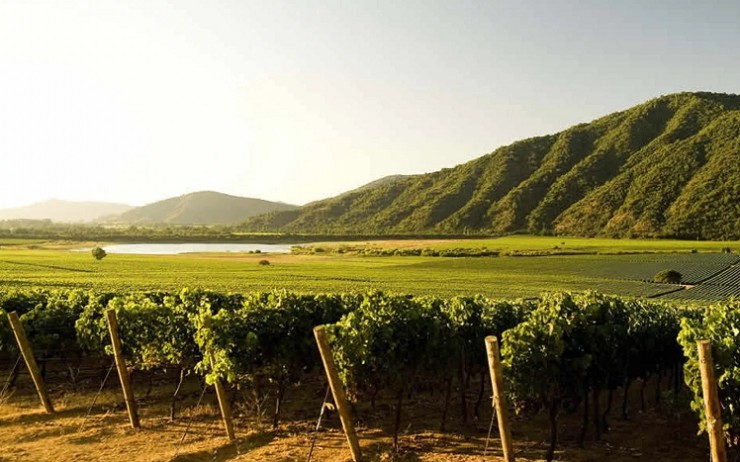 Виноградные долины Чили