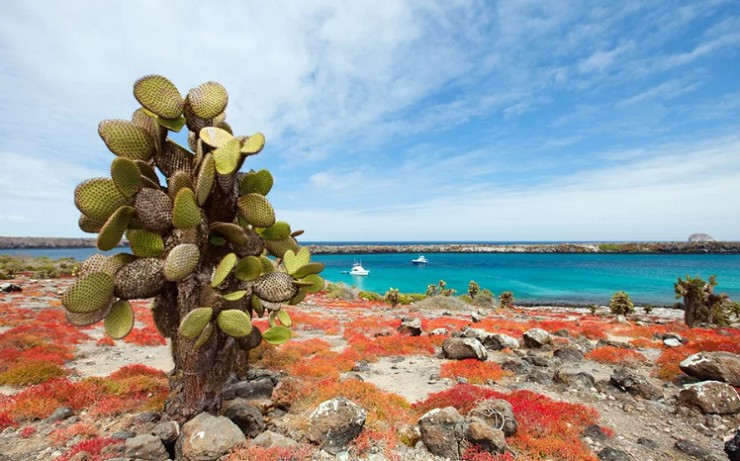 Галапагосские острова — лучшее место для наблюдения за дикой природой