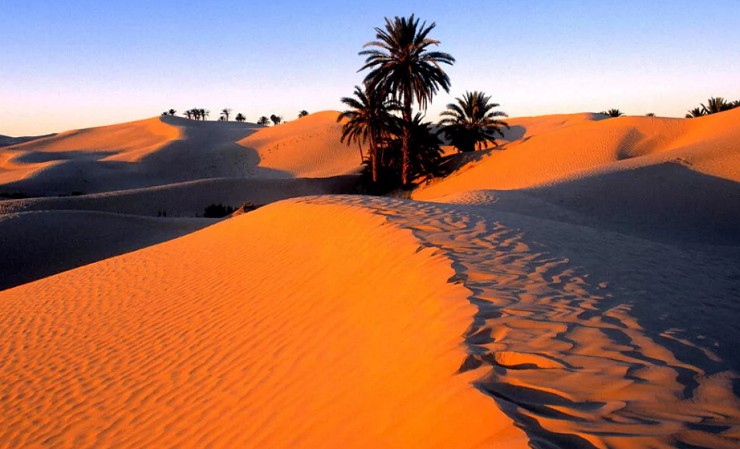 Путешествие по Сахаре станет незабываемым приключением