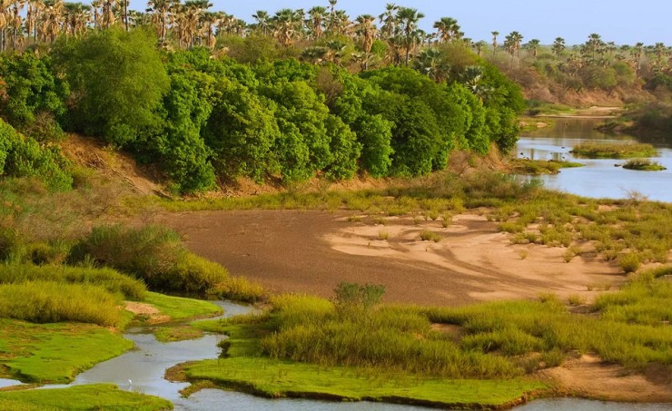 В парке «Ниоколо-Коба» есть и саванны, и редколесья, и болота