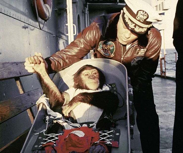 Шимпанзе Хэм после приводнения пожимает руку командиру спасательного корабля 31 января 1961 г.