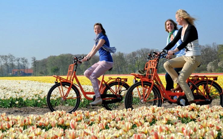 Велопрогулка по Амстердаму