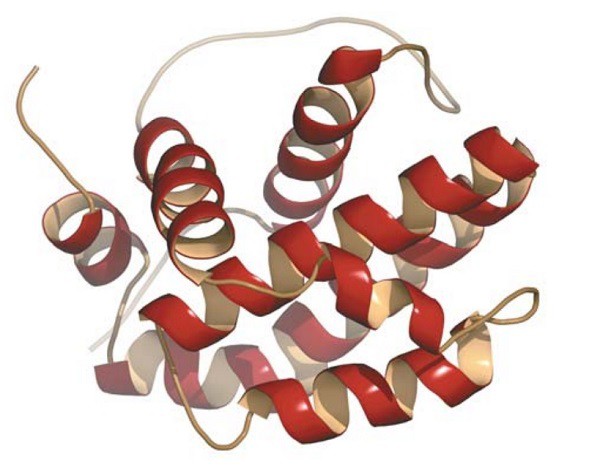 Вторична структура белка