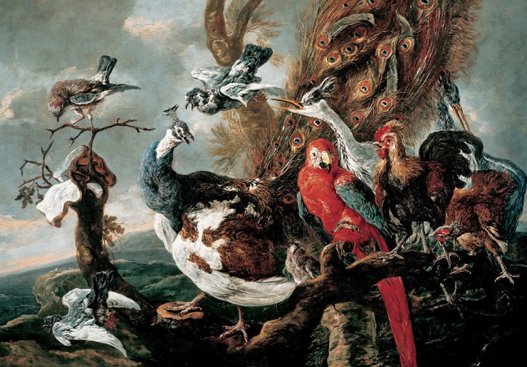 Ян Фейт. Птичий концерт. 1658