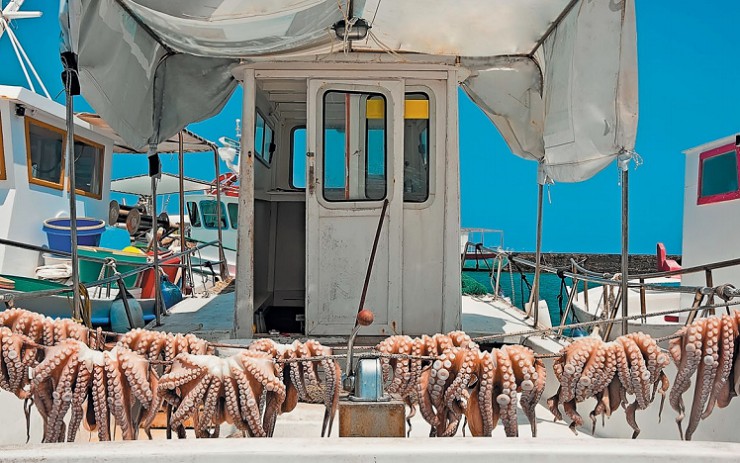Добыча осьминогов — один из основных промыслов на острове Парос