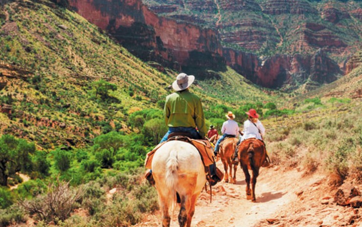 Конные прогулки по Большому каньону