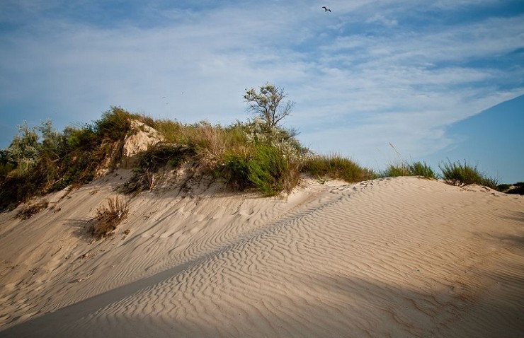 Песчаные дюны 