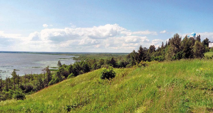 Берег Чухломского озера