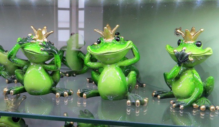 Музей Царевны-лягушки 