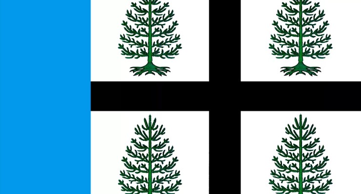 Флаг Судиславля