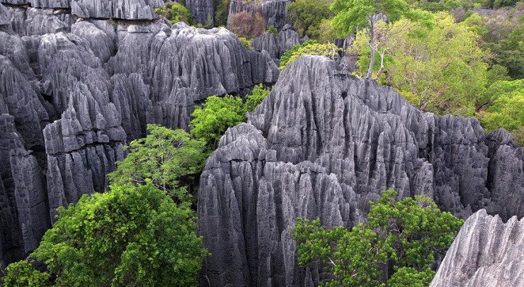 Каменные джунгли Мадагаскара