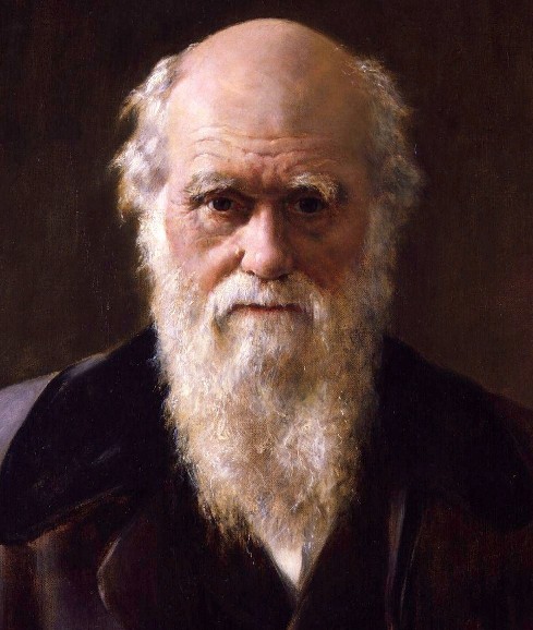 Чарлз Роберт Дарвин (1809-1882) — английский натуралист и путешественник