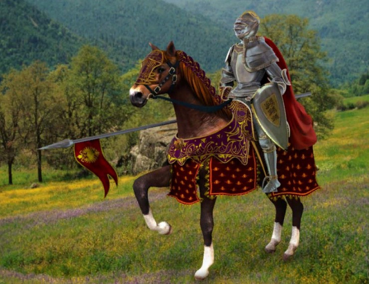 Полное снаряжение рыцаря и его коня