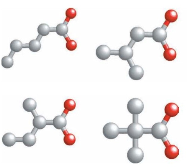 Структурные изомеры: н-пентановая, 3-метилбутановая, 2-метилбутановая кислота, 2,2-диметилпропановая кислоты