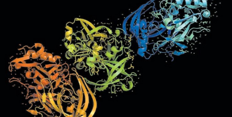 Ученый внес выдающийся вклад в изучение белковых веществ — носителей живой материи