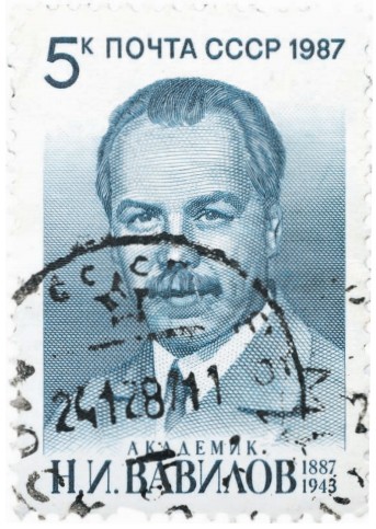 Почтовая марка, посвященная Вавилову, 1987 год, СССР
