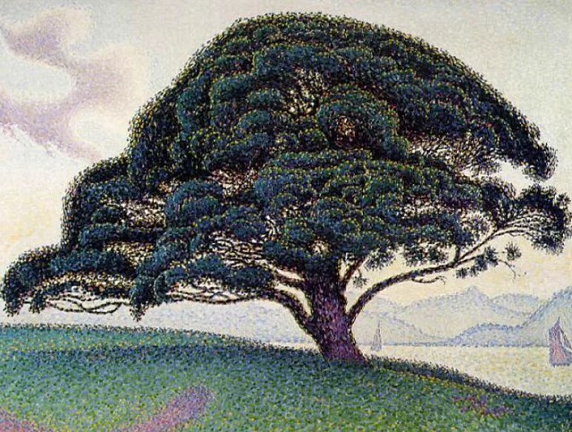 Поль Синьяк «Сосна в Сен-Тропе» (1893)