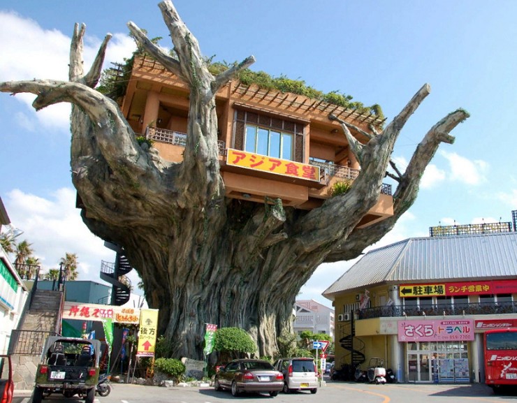 Ресторан на дереве