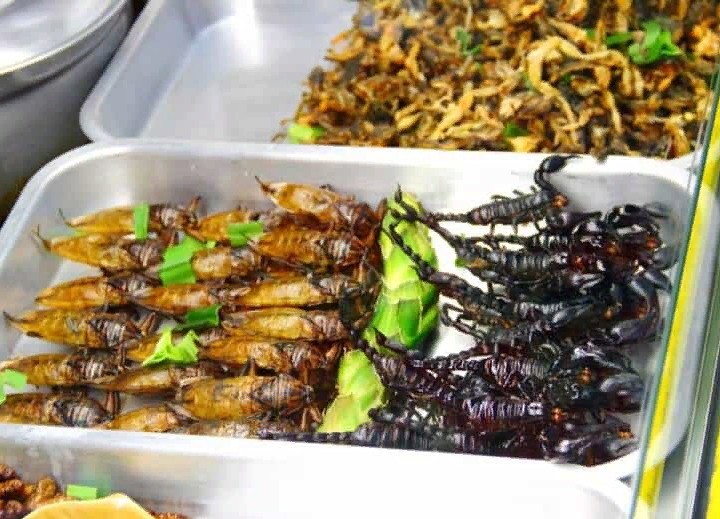 Жареные скорпионы — популярная закуска в Таиланде