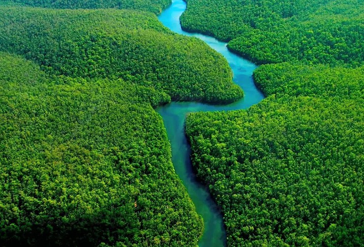 Извилистая Амазонка