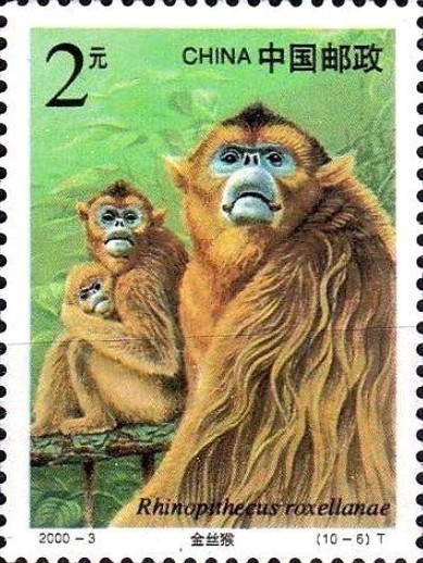 Почтовая марка с изображением золотистой курносой обезьяны