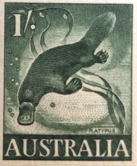 Изображение утконоса на почтовой марке