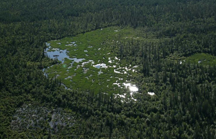 «Бобровые» пруды в провинции Альберта (Канада)