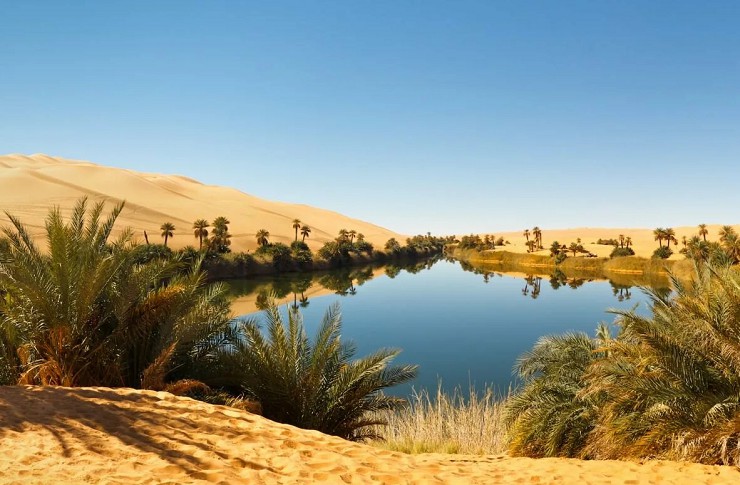 Оазис Умм-аль-маа (в переводе «Мать воды» ). Пустыня Сахара
