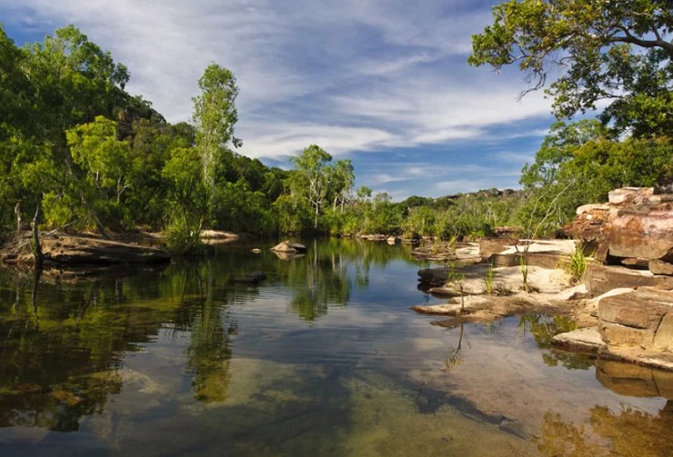 Тропическая река и мангровые заросли парка Какаду