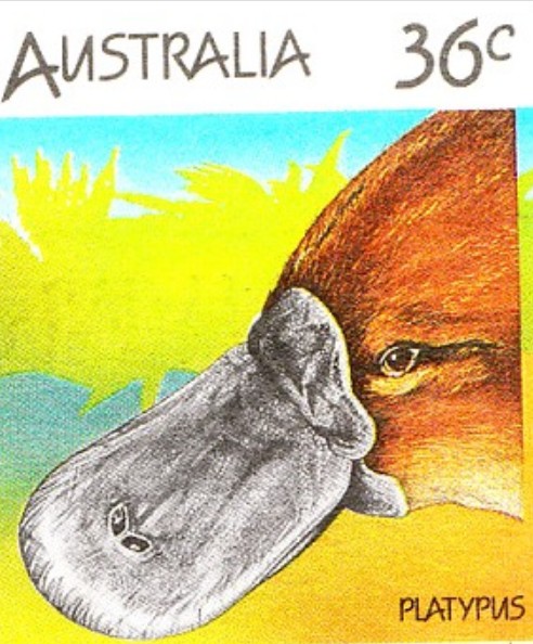Изображение утконоса на почтовой марке
