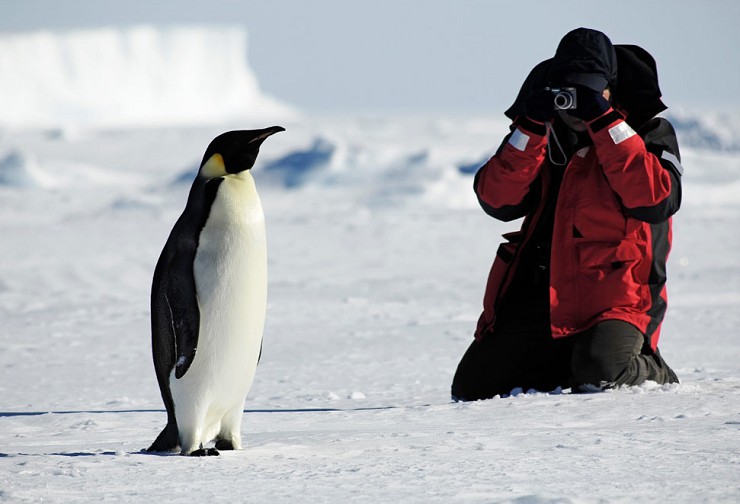 Миф о «поднимателях пингвинов»