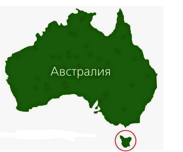 Южнее Австралии на карте отмечен остров Тасмания