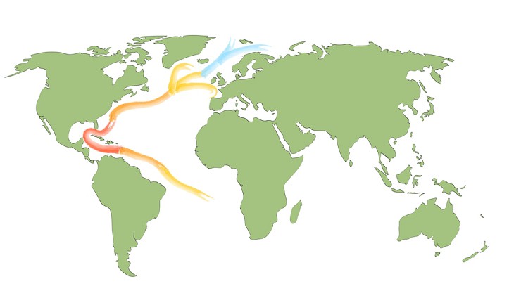 Карта мира с теплым морским течением Гольфстрим