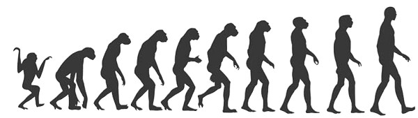 Эволюционный процесс развития человека из крупного примата