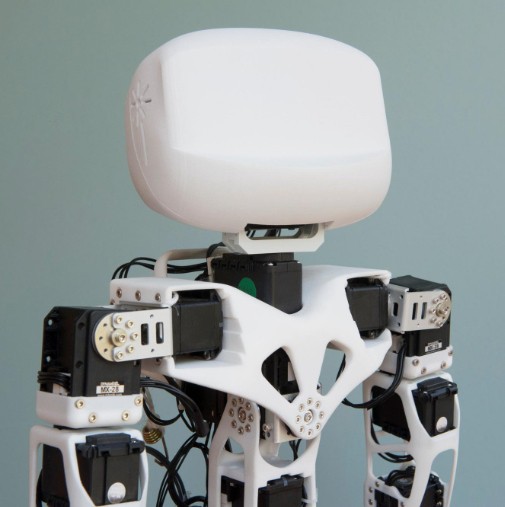 Poppy — один из самых универсальных роботов