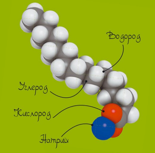 Модель молекулы мыла