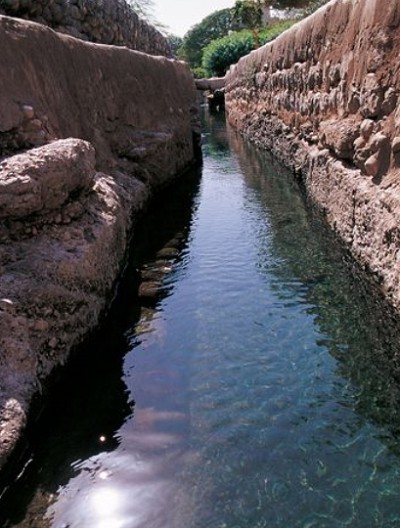Оманская ирригационная система