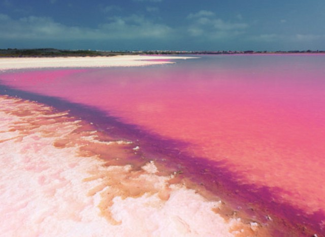 Озеро Хиллер — розовое озеро