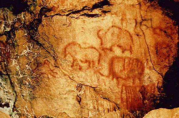 Лошадь, бизон и мамонт. Рисунок в Каповой пещере